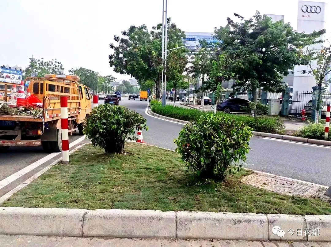 1绿化种植后.jpg 图片