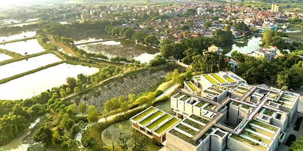 花都塱头古村喜夺全国大奖