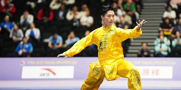 花都健儿卢向成武术套路世界杯摘金  中国功夫震撼日本