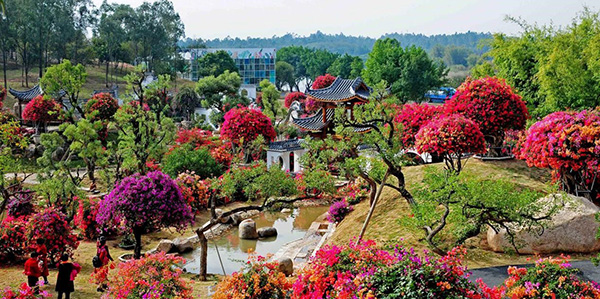 花都区组织召开全区花卉高质量发展大会  以“花”为名交出“花样”文章