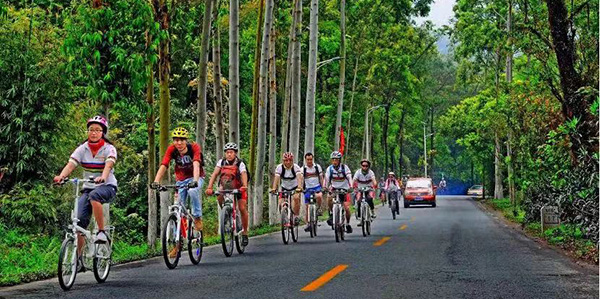 花都区“广清穿越 绿美观花带”    入选中国百条骑行精品路线