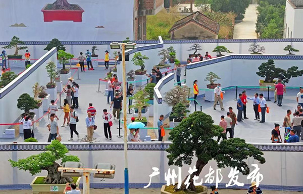 花都小盆景 致富大产业