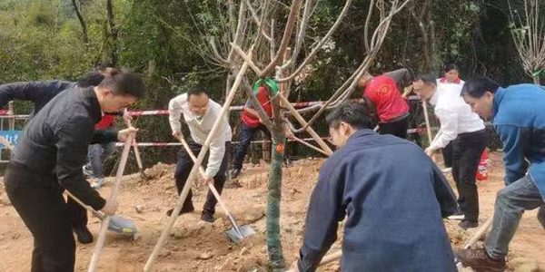 学雷锋服务月超燃启动    志愿服务 植树增绿