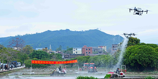 花都区启动2025年春耕工作   体验现代农业“科技盛宴”