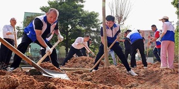 代表委员港澳青年携手共建同心公园    齐植树 添新绿