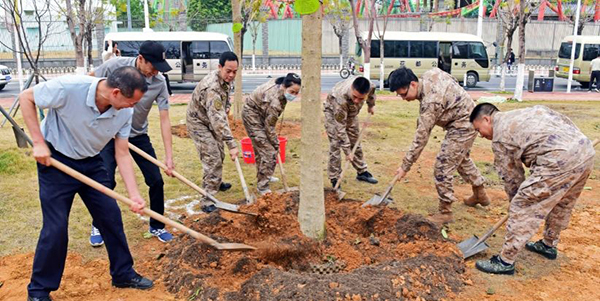 种植适生乔木3860株    花都掀起全民植树热潮
