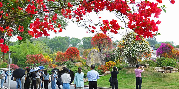 绘就花都乡村数智发展新图景
