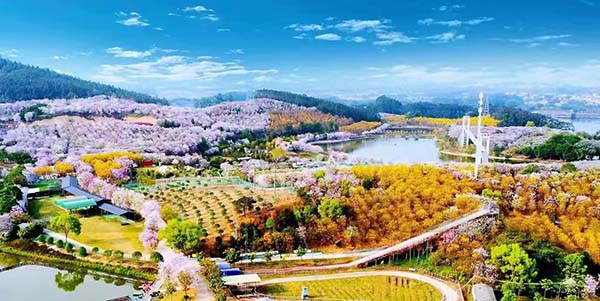 文旅体融合点燃“五一”消费  花都打造“潮玩盛宴”