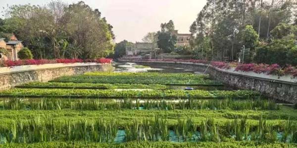 清单化管理+精准施策  花都筑牢十五运生态屏障