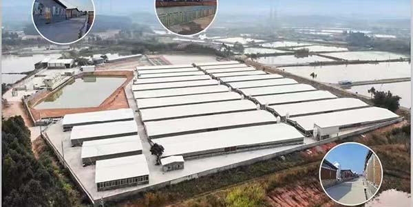 广州市领航食品有限公司位列“农业产业化国家重点龙头企业”名单  花都实现“零的突破”