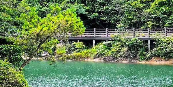 花都区组织开展镇村两级林长业务培训班  “精准化+实战化”提升履职能力