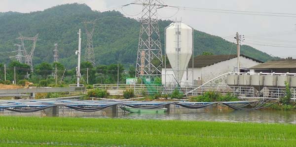 赤坭镇探路养殖尾水治理新范式  破解农企瓶颈 赋能绿色循环