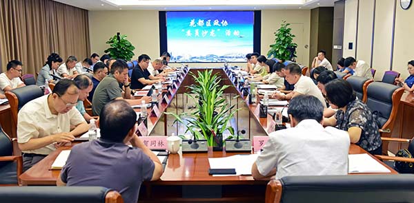 区政协“委员沙龙”    探索花都低空经济发展新路径