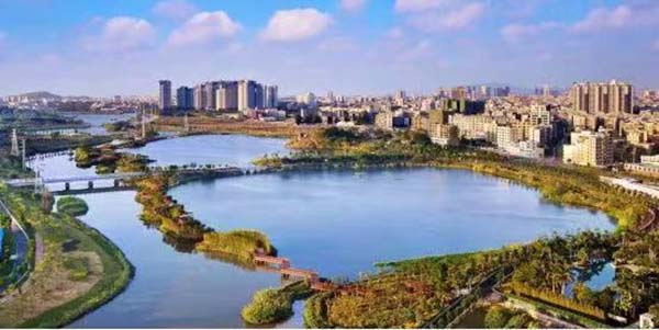 向绿而行，协同增效   花都绘就减污降碳“生态长卷”