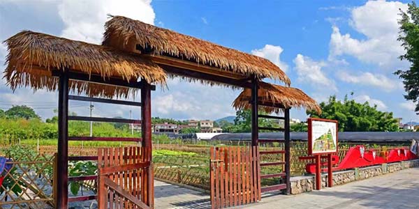 花都区花城村入选中组部红色美丽村庄建设名单    红色文化绽放新光彩