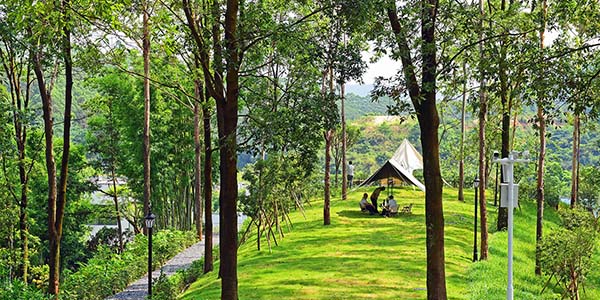 华南地区首家   高端民宿落户花都梯面