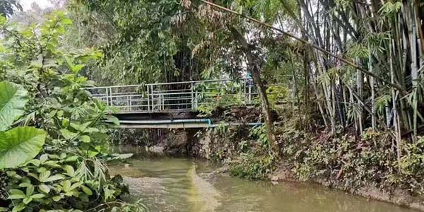 全省唯一入选案例  花都区“10号工作室”登上人民日报