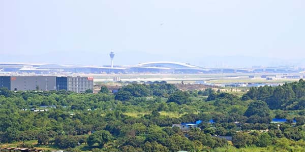 花都区政协开展专题视察   助力打造国际时尚智港