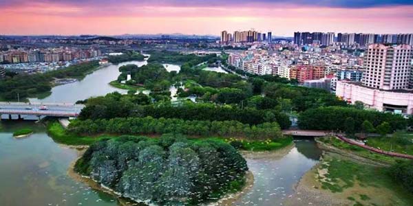 花都区全面推进绿美生态建设  绘就“城在园中 人在画中”新图景